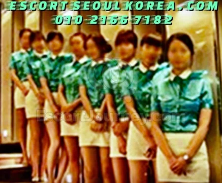 Escorts Korea Inc. photo 1